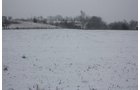 Property photo 3 - ABSOLUTE AUCTION - 298 Acres Offered in 4 Tracts
